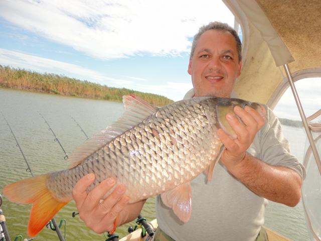 Sulina sept. 2013 - part. II - dsc00733.JPG
